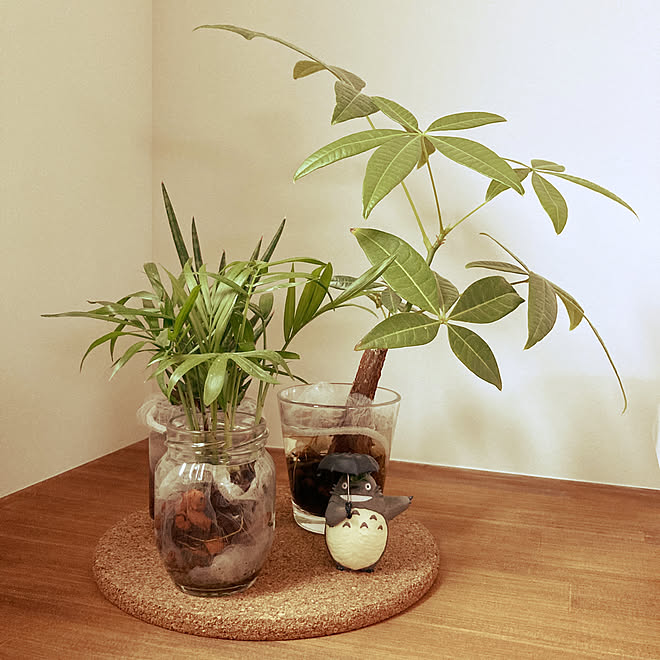 観葉植物 フィギュア 多肉植物 ネイチャー キッチンのインテリア実例 07 26 14 57 58 Roomclip ルームクリップ 観葉植物 フィギュア 多肉植物 ネイチャー キッチンのインテリア実例 07 26 14 57 58 Roomclip ルームクリップ