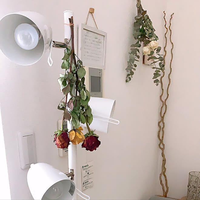 お気に入りスペース ナチュラル 一人暮らし ドライフラワー カフェ風 などのインテリア実例 22 02 24 11 36 22 Roomclip ルームクリップ