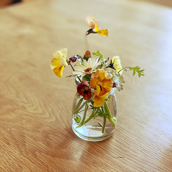 オステオスペルマム カフェカーテン 花瓶のお花 整理整頓 花瓶 などのインテリア実例 21 03 07 15 59 23 Roomclip ルームクリップ