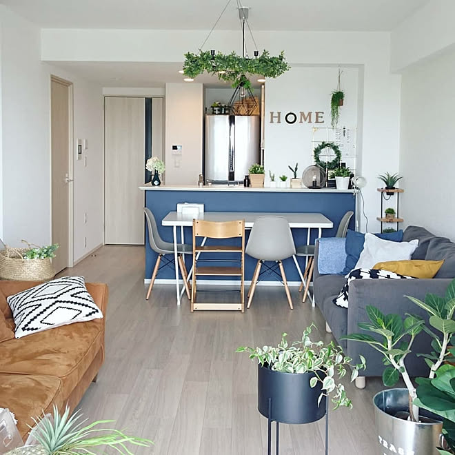 部屋全体 ブルー リリカラ壁紙 グリーンのある暮らし 観葉植物 などのインテリア実例 18 05 18 07 38 26 Roomclip ルームクリップ