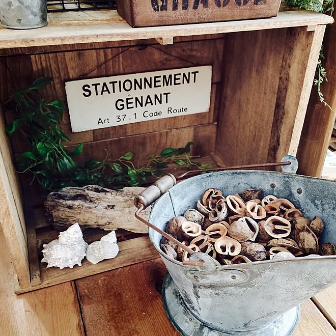 棚 ブリキプレートリメイク 貝殻と流木 くるみの殻 ベランダガーデンのインテリア実例 15 06 03 18 08 36 Roomclip ルームクリップ