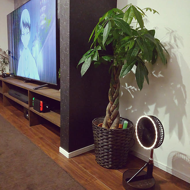 リビング 観葉植物 扇風機 一戸建て ｔｖ台のインテリア実例 21 07 19 23 58 59 Roomclip ルームクリップ
