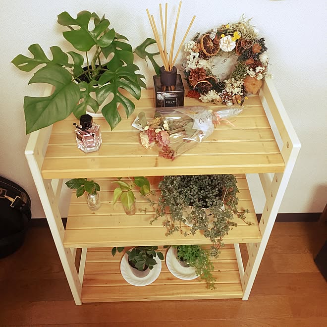 棚/ドライフラワー/観葉植物/ナチュラル/一人暮らし&hellip;などのインテリア実例 20170117 102422
