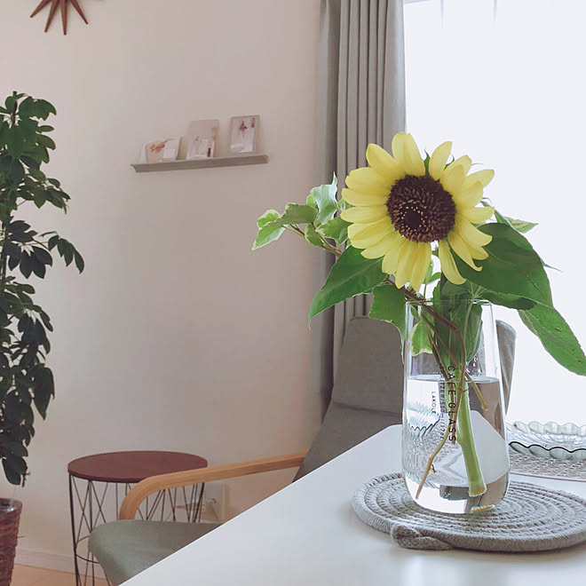 夏の花 一輪挿し ミックスインテリア グリーンのある暮らし すっきり暮らしたい などのインテリア実例 22 07 22 23 17 12 Roomclip ルームクリップ