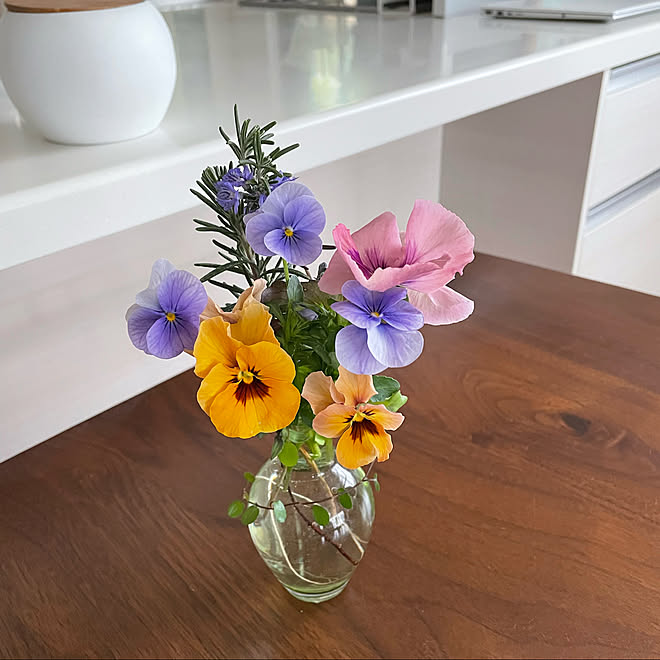 ローズマリーもお花咲いてる 淡い色の花 カラフル かわいい 色とりどりの花 などのインテリア実例 22 03 17 15 56 48 Roomclip ルームクリップ