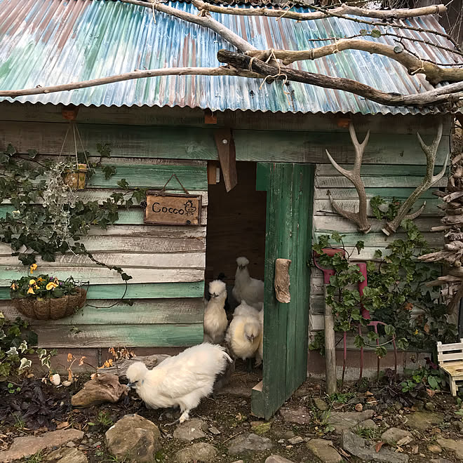 ベッド周り 烏骨鶏 鶏小屋 石積みのある庭 中古を買ってリノベーション などのインテリア実例 18 01 07 14 33 22 Roomclip ルームクリップ