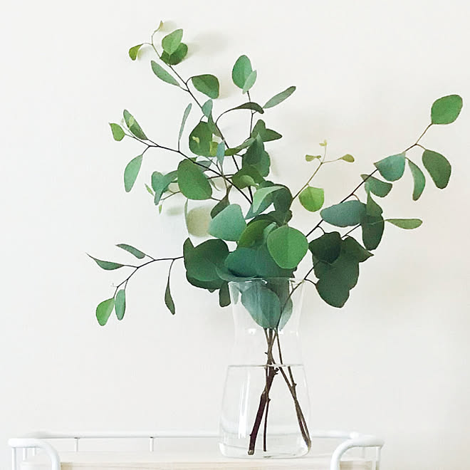 花瓶 ナチュラル 一人暮らし 北欧 植物のある暮らし などのインテリア実例 09 03 50 34 Roomclip ルームクリップ