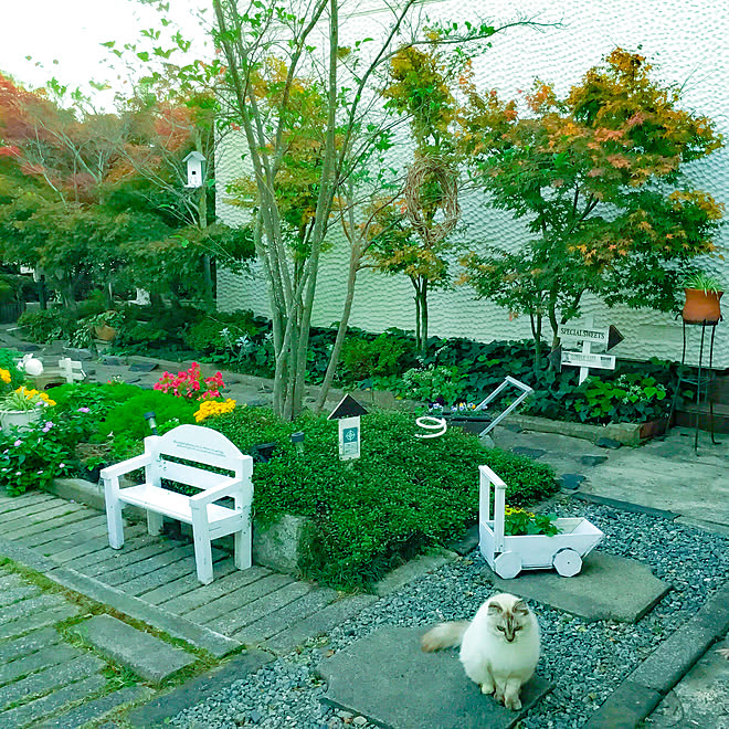 ベンチ Diy 外壁 ガーデン雑貨 秋の庭 植栽 などのインテリア実例 12 02 16 59 43 Roomclip ルームクリップ