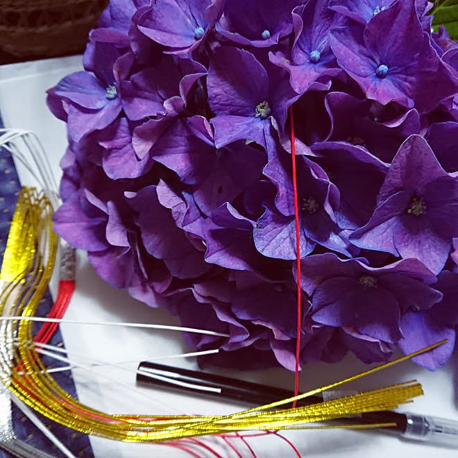 部屋全体 夏至の日の紫陽花のおまじない 紫陽花のおまじない 令和2年6月21日 夏至のおまじない などのインテリア実例 06 21 05 45 18 Roomclip ルームクリップ 部屋全体 夏至の日の紫陽花のおまじない 紫陽花のおまじない 令和2年6月21日 夏至のおまじない などのインテリア実例 06 21 05 45 18 Roomclip ルームクリップ