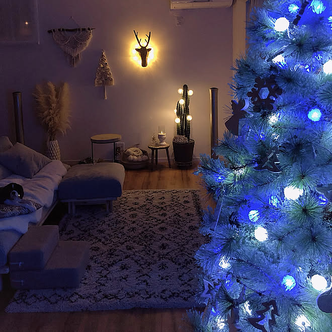 夜のリビング クリスマスイルミネーション イルミネーションライト クリスマス クリスマスツリー などのインテリア実例 19 11 21 17 58 22 Roomclip ルームクリップ