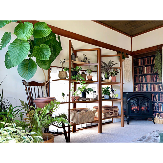 冬支度 暖炉型ファンヒーター グリーンのある暮らし ナチュラル 植物 などのインテリア実例 11 06 11 00 17 Roomclip ルームクリップ