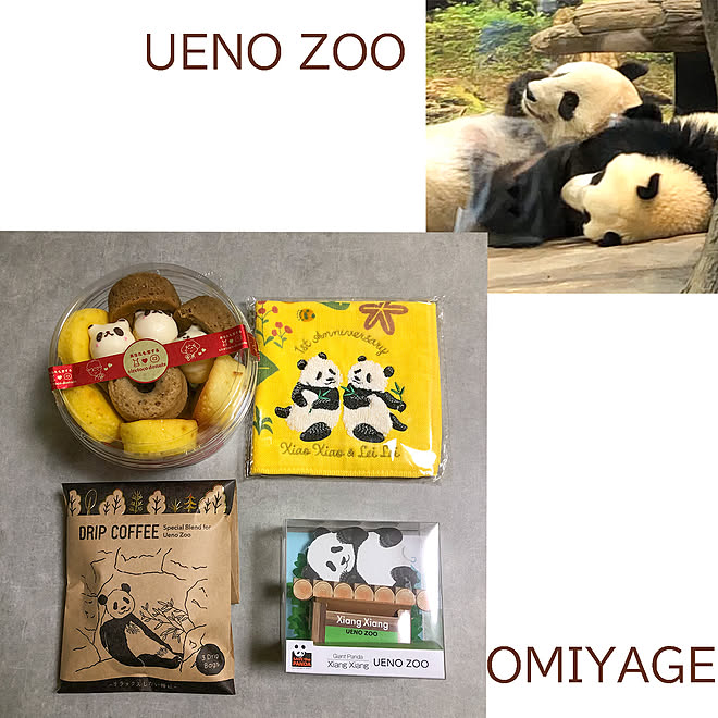 可愛いグッズ 大人の遠足 上野動物園 おみやげ パンダ などのインテリア実例 22 10 12 16 25 35 Roomclip ルームクリップ 可愛いグッズ 大人の遠足 上野動物園 おみやげ パンダ などのインテリア実例 22 10 12 16 25 35 Roomclip ルームクリップ