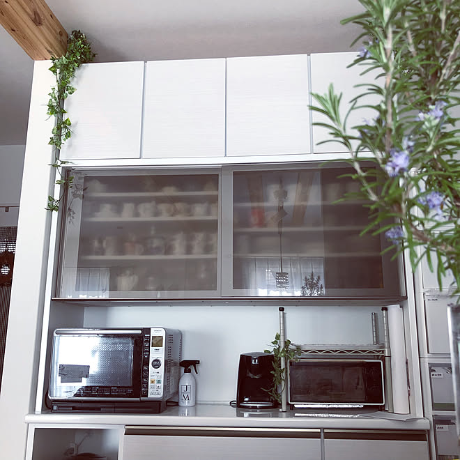 上置き オーダーカラー キッチンボード ニトリ 観葉植物 などのインテリア実例 19 03 18 13 43 43 Roomclip ルームクリップ