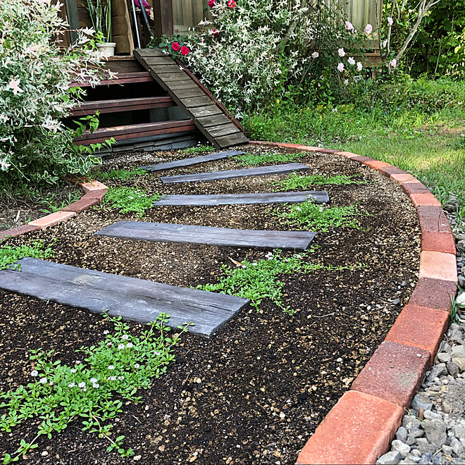 庭 Diy レンガ アプローチ ヒメイワダレソウ などのインテリア実例 06 13 23 13 58 Roomclip ルームクリップ