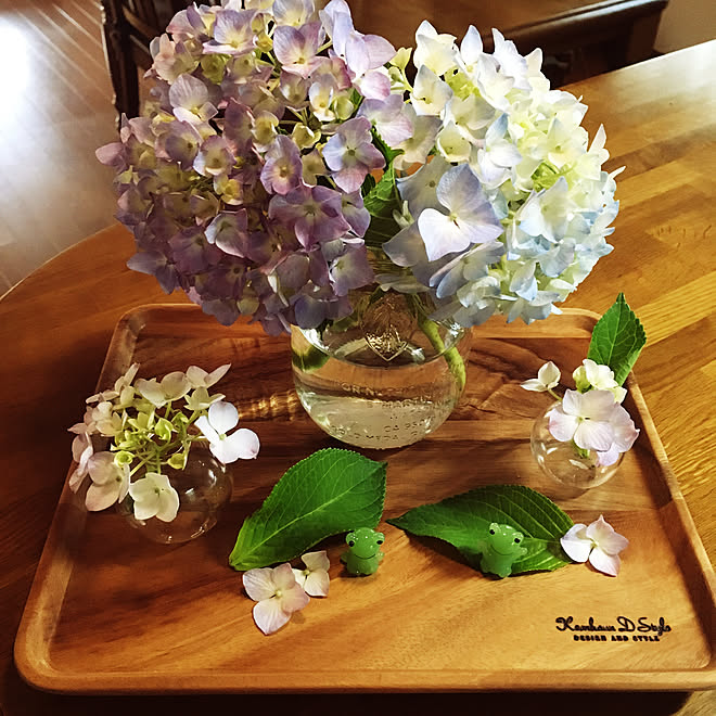 フラワーベース 花のある暮らし カエル 花瓶 マルティネリ などのインテリア実例 19 06 09 18 36 35 Roomclip ルームクリップ フラワーベース 花のある暮らし カエル 花瓶 マルティネリ などのインテリア実例 19 06 09 18 36 35 Roomclip ルームクリップ
