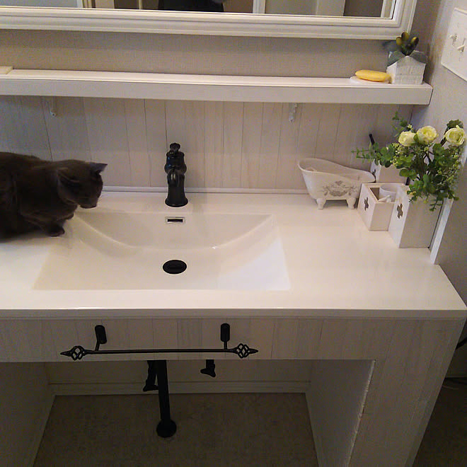 バス/トイレ/アメリカンスイッチ/猫部/照明器具/DIY...などのインテリア実例 - 2019-11-11 22:48:00