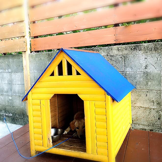 犬小屋diy ナチュラルな暮らし 海のある暮らし 沖縄暮らし ナチュラル などのインテリア実例 17 02 21 23 21 41 Roomclip ルームクリップ 犬小屋diy ナチュラルな暮らし 海のある暮らし 沖縄暮らし ナチュラル などのインテリア実例 17 02 21 23 21 41 Roomclip ルームクリップ