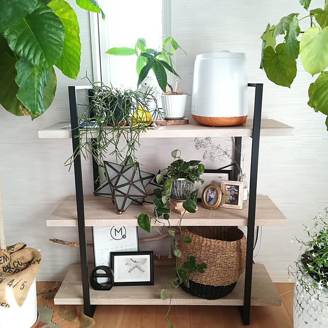 棚 スマート家電 スマートコンセント タイマー スマホ操作 などのインテリア実例 22 02 26 18 38 38 Roomclip ルームクリップ 棚 スマート家電 スマートコンセント タイマー スマホ操作 などのインテリア実例 22 02 26 18 38 38 Roomclip ルームクリップ