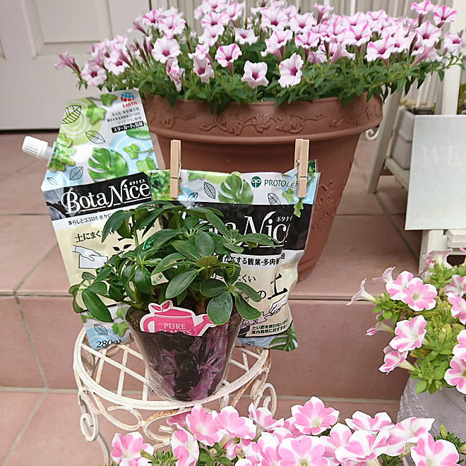 種類豊富な品揃え 枯れないお花 ピンク 花束 花瓶セット ガーデニング 癒し北欧 人工観葉植物 サボテン 多肉植物 造花 Diy 可愛い お家で楽しく 家庭菜園 Www Morshedi Co