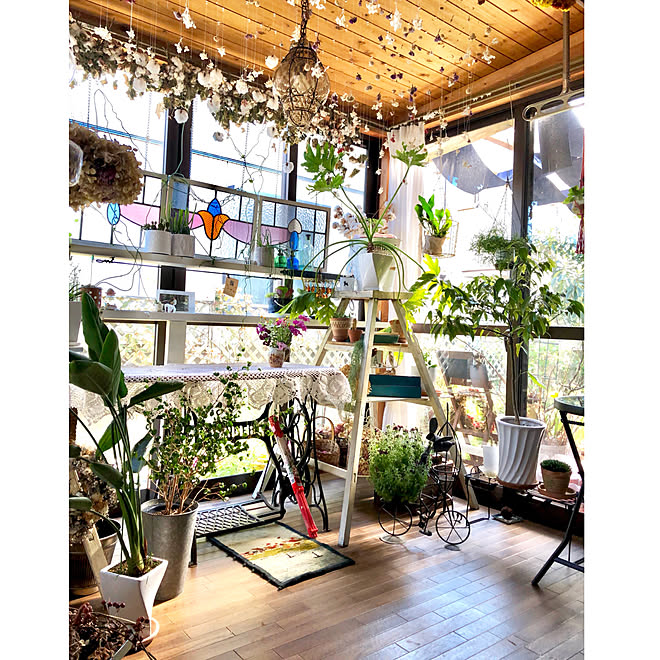 アンティークのある暮らし インナーテラス いつもいいねやコメントありがとう 丁寧な暮らし 野菜を育てる などのインテリア実例 19 04 04 07 52 24 Roomclip ルームクリップ