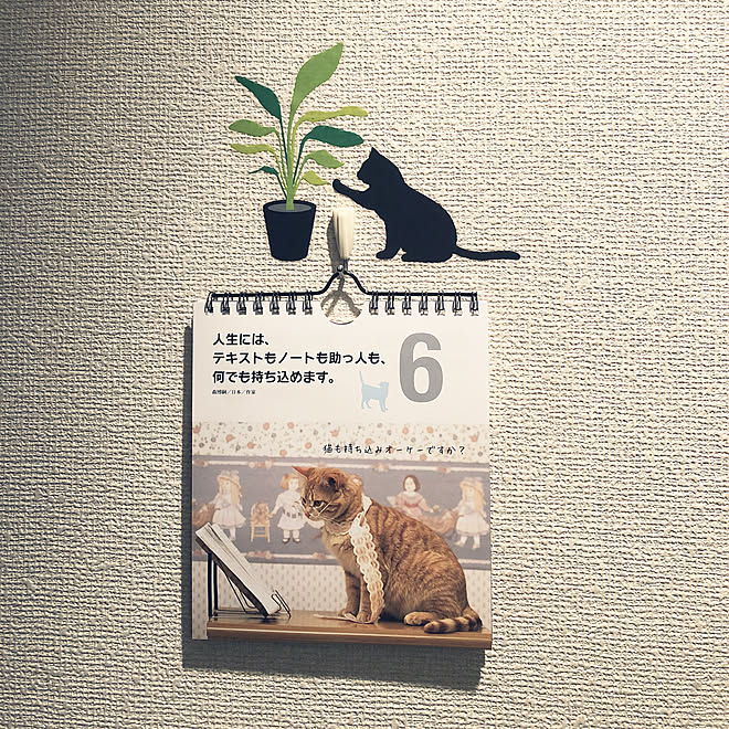 玄関 入り口 猫バージョン 万年カレンダーdaiso ニャン とも素敵な日めくり名言カレンダーのインテリア実例 18 10 06 16 19 10 Roomclip ルームクリップ
