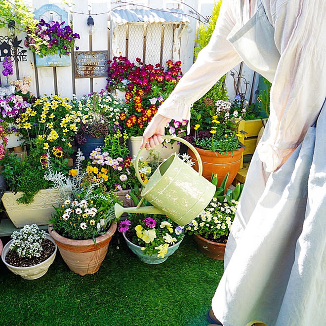 ガーデニング 花の寄せ植え ベランダガーデニング ベランダガーデン ルーフバルコニー などのインテリア実例 22 03 30 19 28 10 Roomclip ルームクリップ