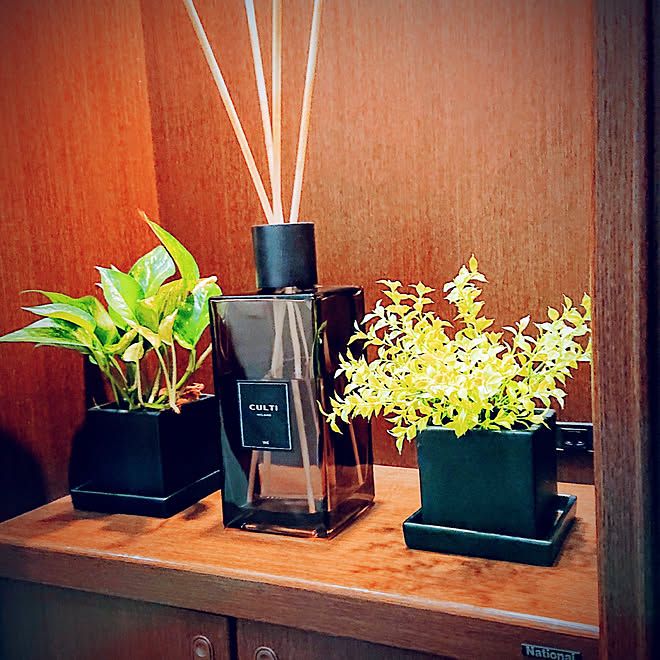 玄関/入り口/香りのある暮らし/観葉植物/投稿イベントテーマのインテリア実例 20201204 124900 ｜ RoomClip