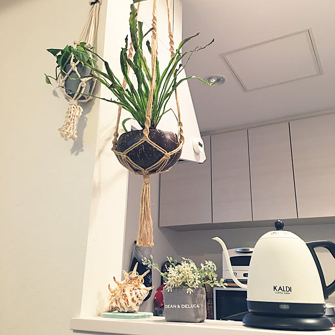 ハンギンググリーン マクラメハンギング 観葉植物 リビングのインテリア実例 04 16 17 44 31 Roomclip ルームクリップ ハンギンググリーン マクラメハンギング 観葉植物 リビングのインテリア実例 04 16 17 44 31 Roomclip ルームクリップ