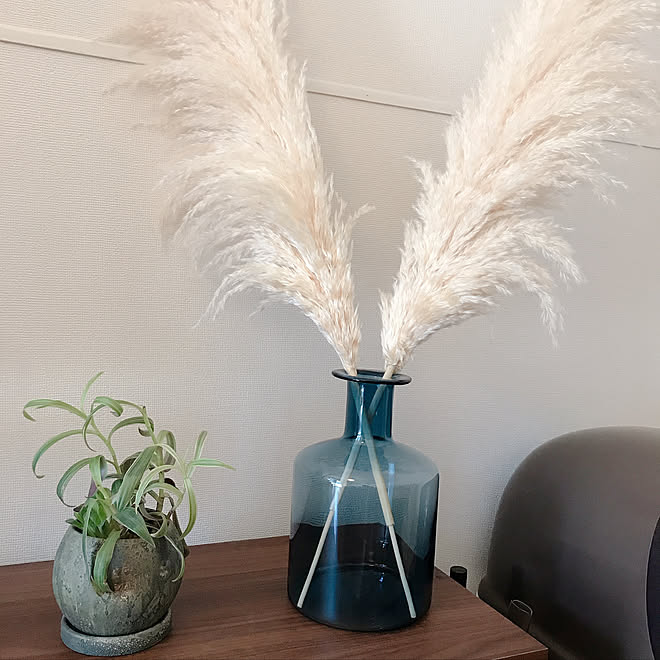 Ikea花瓶 ねこと暮らす Ikea パンパスグラス 観葉植物 などのインテリア実例 10 01 14 07 55 Roomclip ルームクリップ