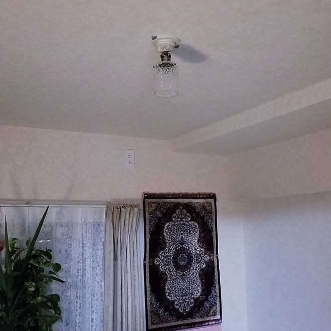 壁 天井 ライト照明 Rcショッピング購入品 小さいかも シーリングライト などのインテリア実例 22 02 15 19 59 35 Roomclip ルームクリップ