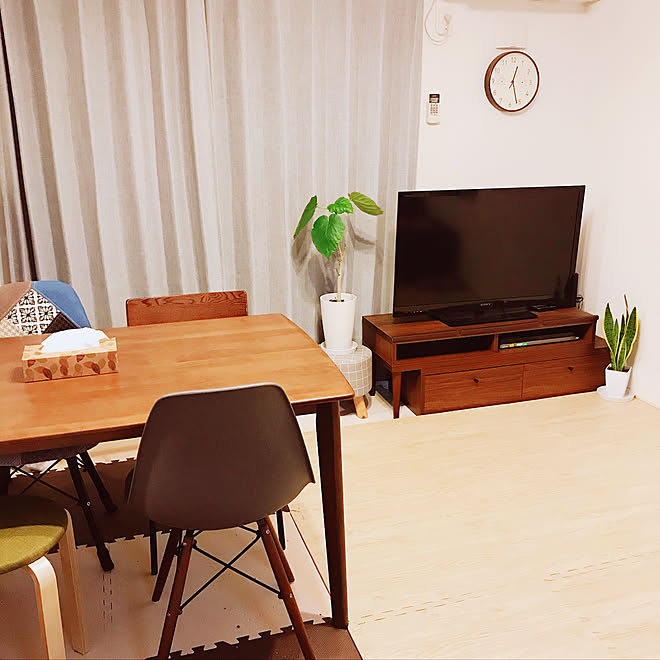 イームズチェアリプロダクト/12畳LDK/賃貸/観葉植物/ニトリ...などのインテリア実例 - 2019-11-23 00:38:42
