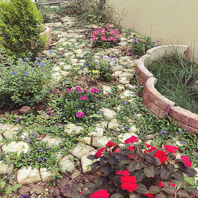 春 花壇の花 花のある暮らし 今日は23 玄関 入り口のインテリア実例 21 03 14 09 44 24 Roomclip ルームクリップ