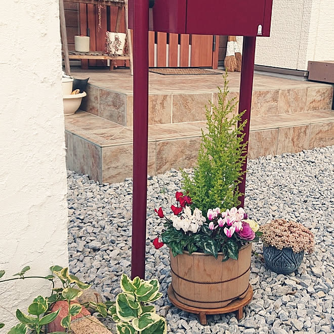 玄関 入り口 寄せ植え コニファー ガーデンシクラメン ガーデニング などのインテリア実例 19 01 01 16 50 36 Roomclip ルームクリップ