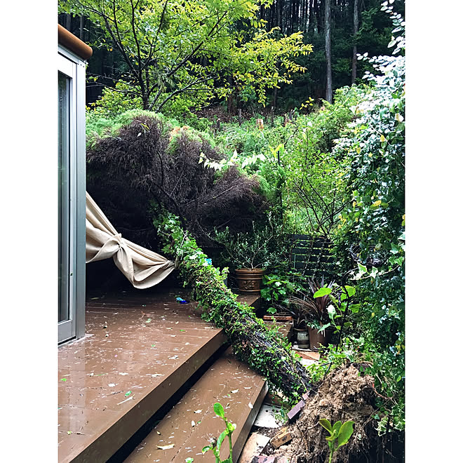 玄関 入り口 裏山 ウッドデッキ 台風21号 サンルーム などのインテリア実例 18 09 04 16 28 31 Roomclip ルームクリップ 玄関 入り口 裏山 ウッドデッキ 台風21号 サンルーム などのインテリア実例 18 09 04 16 28 31 Roomclip ルームクリップ