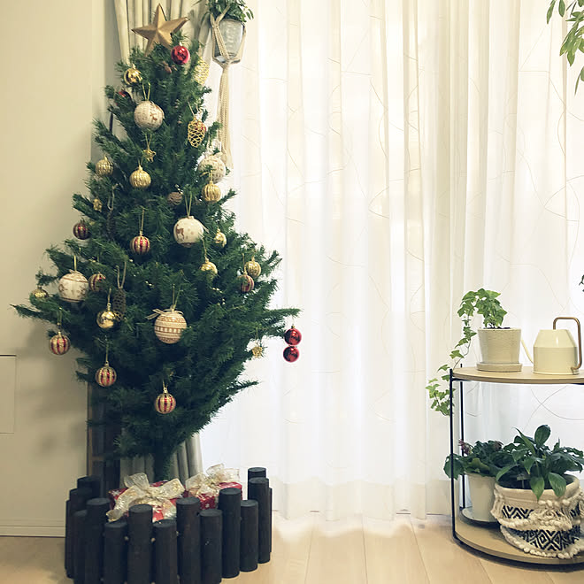 クリスマス/観葉植物/プラントハンギング/ニトリ/niko and… ...などのインテリア実例 - 2019-11-15 13:04:22