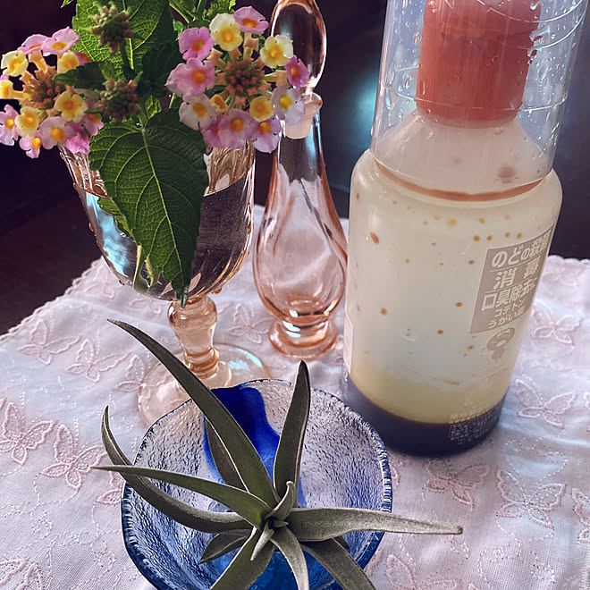 うがい薬 エアープランツ スペアミント ランタナ 花のある暮らし などのインテリア実例 08 05 08 47 38 Roomclip ルームクリップ