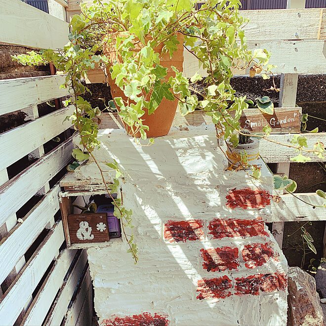アイビー モルタルデコ Diy 観葉植物 漆喰壁 などのインテリア実例 08 08 06 50 Roomclip ルームクリップ