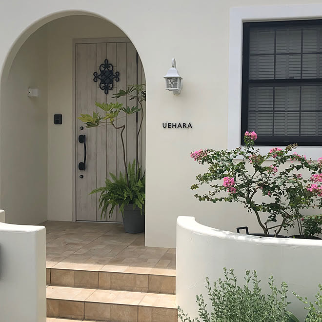 シダ寄せ植え レウコフィルム アイアン表札 アールのポーチ スペインタイル などのインテリア実例 07 17 43 58 Roomclip ルームクリップ