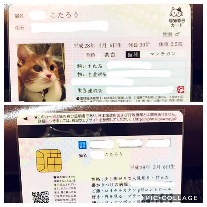 机 マイニャンバー 猫のいる生活のインテリア実例 18 12 16 18 34 28 Roomclip ルームクリップ 机 マイニャンバー 猫のいる生活のインテリア実例 18 12 16 18 34 28 Roomclip ルームクリップ