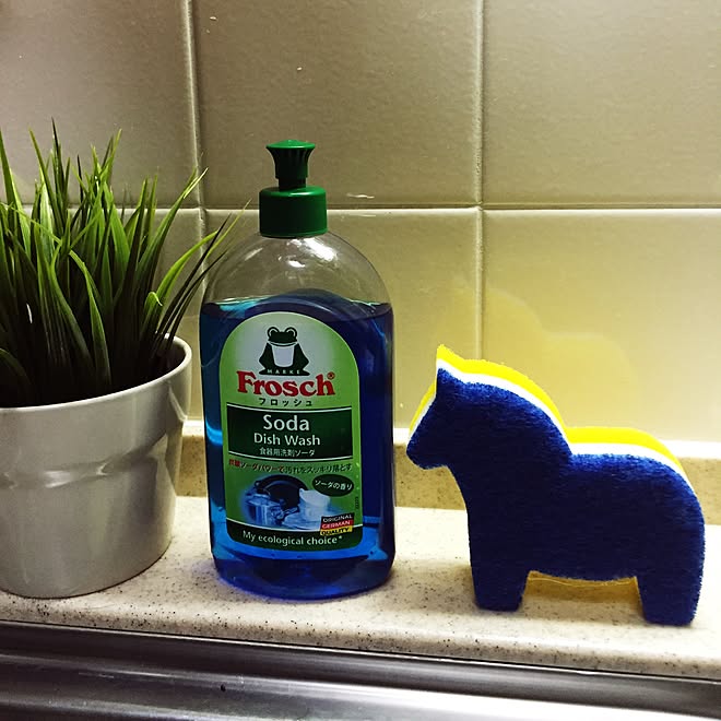 キッチン/フロッシュ/キッチンの愛用品/ジュウ•ドゥ•ポム/コレクターズアイテム...などのインテリア実例 - 2016-01-26 11:02:27