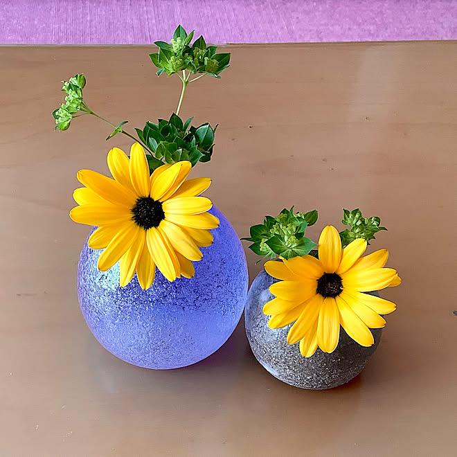 庭の花を飾る 庭の花 カラフル好き 机 ブプレウルム などのインテリア実例 22 03 04 11 08 31 Roomclip ルームクリップ