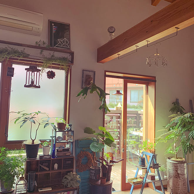 インテリアグリーン 観葉植物のある部屋 インダストリアルインテリア 木箱の飾り棚 木が好き などのインテリア実例 21 01 10 00 01 52 Roomclip ルームクリップ インテリアグリーン 観葉植物のある部屋 インダストリアルインテリア 木箱の飾り棚 木が好き などのインテリア実例 21 01 10 00 01 52 Roomclip ルームクリップ