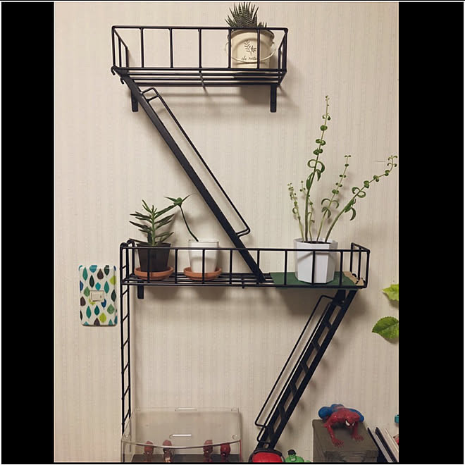 階段/wallshelf/fireescape/ウォールシェルフ/ファイヤーエスケープ...などのインテリア実例 - 2019-11-14 17:04:15