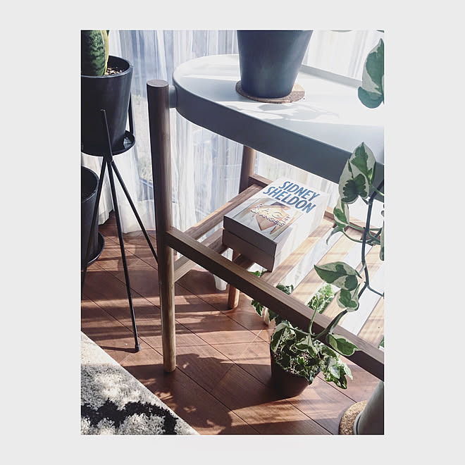 リビング 英語小説 観葉植物のある暮らし 緑のある暮らし インテリア などのインテリア実例 17 11 14 08 42 10 Roomclip ルームクリップ