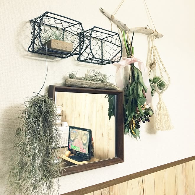 3COINS/流木/男前/観葉植物/ダイソー...などのインテリア実例 - 2016-07-23 23:37:10