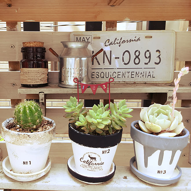 サボテン 多肉植物 鉢ペイント 植木鉢リメイク ガーデニング雑貨 などのインテリア実例 19 05 06 08 42 05 Roomclip ルームクリップ サボテン 多肉植物 鉢ペイント 植木鉢リメイク ガーデニング雑貨 などのインテリア実例 19 05 06 08 42 05 Roomclip ルームクリップ