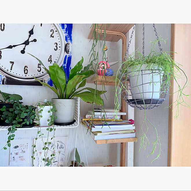 Ikea 多肉植物 ジャングル化計画 観葉植物 雑貨 などのインテリア実例 11 28 13 34 42 Roomclip ルームクリップ