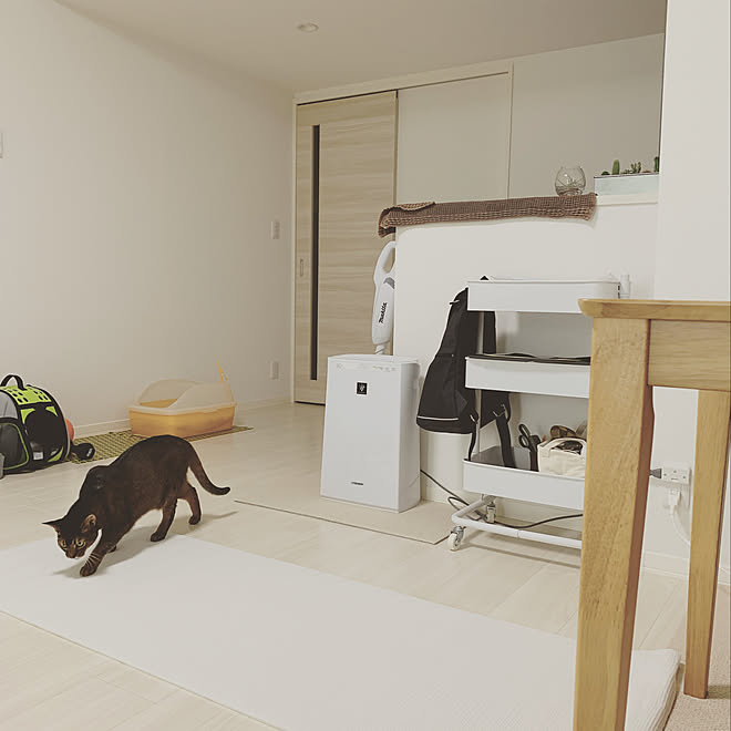 山善/猫と暮らす家/エレクトロラックス/場所を選ばない/北欧...などのインテリア実例 20200122