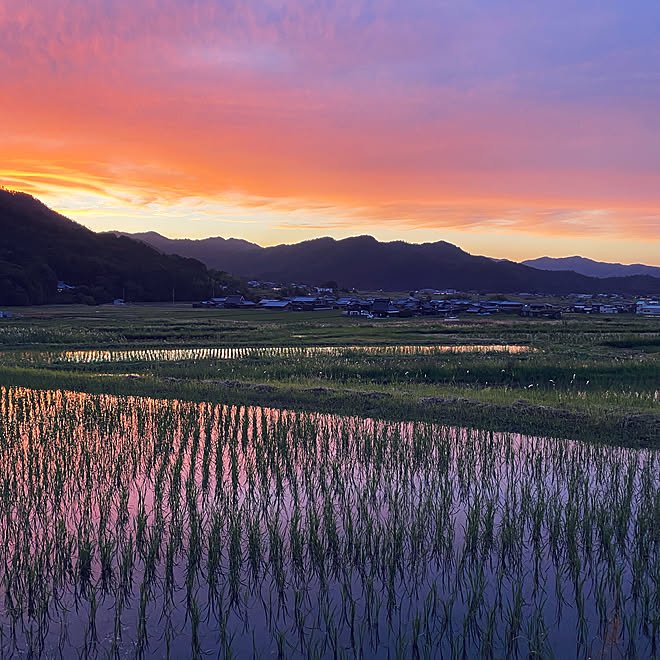 窓からの風景 夕焼け空 田舎の風景 田舎の暮らし 和の家 などのインテリア実例 06 21 19 32 04 Roomclip ルームクリップ