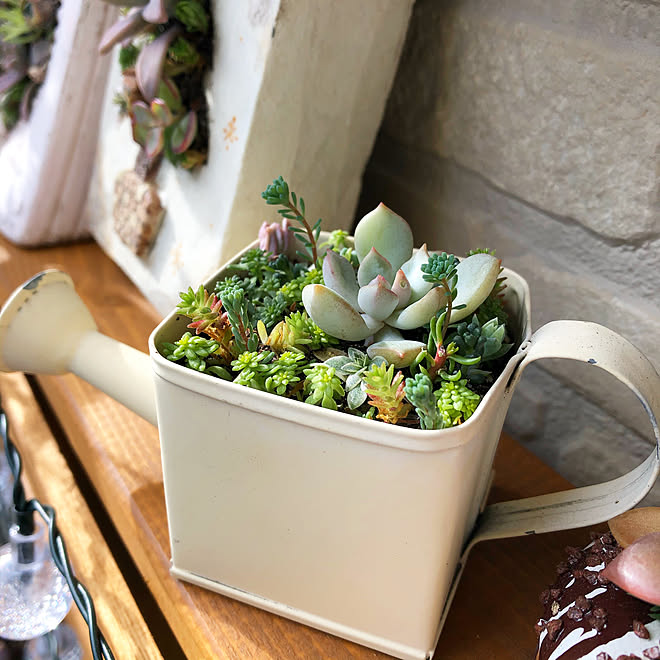 セダム寄せ植え ちまちま寄せ ナチュキチ雑貨 いつもいいねやコメントありがとう いつも楽しませてもらってます などのインテリア実例 12 23 53 02 Roomclip ルームクリップ